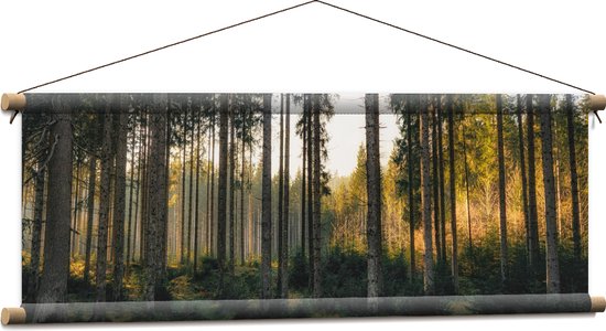 WallClassics - Textielposter - Bos met Kleine en Grote Bomen - 90x30 cm Foto op Textiel