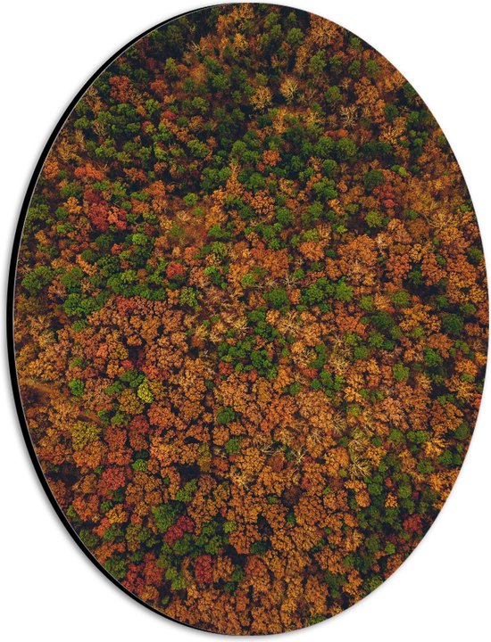 WallClassics - Dibond Ovaal - Bos met Oranje Bruine en Groene Bomen vanuit de Lucht - 21x28 cm Foto op Ovaal (Met Ophangsysteem)