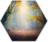 Hexagon wanddecoratie - Kunststof Wanddecoratie - Hexagon Schilderij - Bos - Mist - Herfst - 75x65 cm