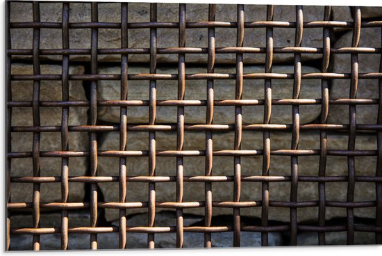 WallClassics - Dibond - Verroest Hek tegen Stenen - 75x50 cm Foto op Aluminium (Wanddecoratie van metaal)