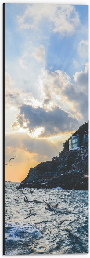 WallClassics - Dibond - Vogels Vliegend langs Bergen aan de Kust - 20x60 cm Foto op Aluminium (Met Ophangsysteem)
