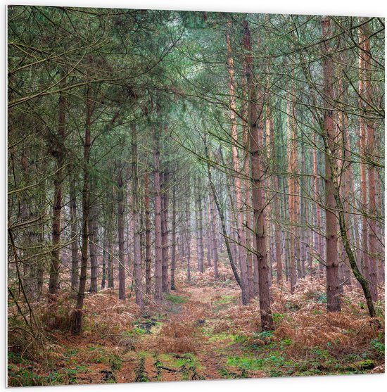 WallClassics - PVC Schuimplaat - Fel Groene Takken aan Bomen - 100x100 cm Foto op PVC Schuimplaat (Met Ophangsysteem)