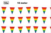 10x Vlaggenlijn Regenboog 10 meter - Kleur pride fun zomers thema feest vrolijk verjaardag festival