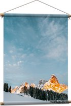 WallClassics - Textielposter - Bomen en Rotsen in Sneeuwgebied - 60x80 cm Foto op Textiel