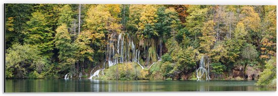WallClassics - Dibond - Kleine Watervallen tussen Bomen door - 60x20 cm Foto op Aluminium (Wanddecoratie van metaal)