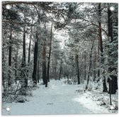 WallClassics - Tuinposter – Winter Bos - 50x50 cm Foto op Tuinposter  (wanddecoratie voor buiten en binnen)