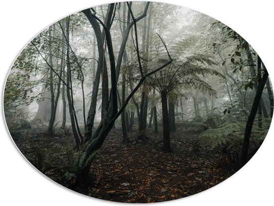 WallClassics - Panneau de mousse PVC ovale - Forêt brumeuse - 96x72 cm Photo sur ovale (avec système de suspension)