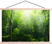 Posterhanger incl. Poster 60x40 cm - Schoolplaat - Jungle - Zonlicht - Groen - Meisjes - Kinderen - Jongens - Textielposter - Blanke latten