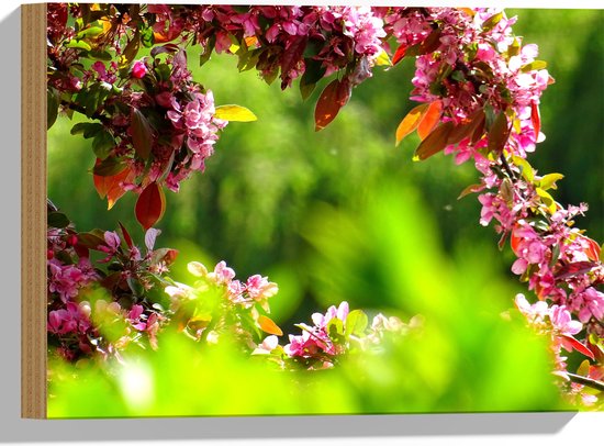 WallClassics - Hout - Roze Bladeren aan Tak - 40x30 cm - 12 mm dik - Foto op Hout (Met Ophangsysteem)