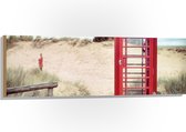 WallClassics - Hout - Rode Telefooncel in Duinen - 120x40 cm - 12 mm dik - Foto op Hout (Met Ophangsysteem)