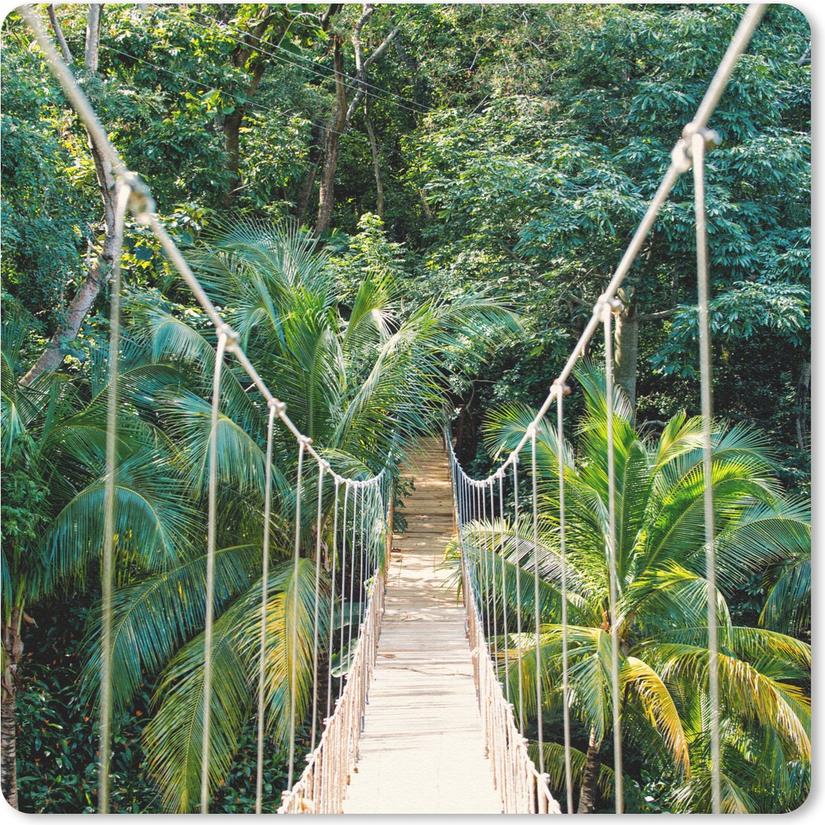 Muismat 30x30 cm - Mousepad Jungle - Palmboom - Brug - Natuur - Planten - Muismatten