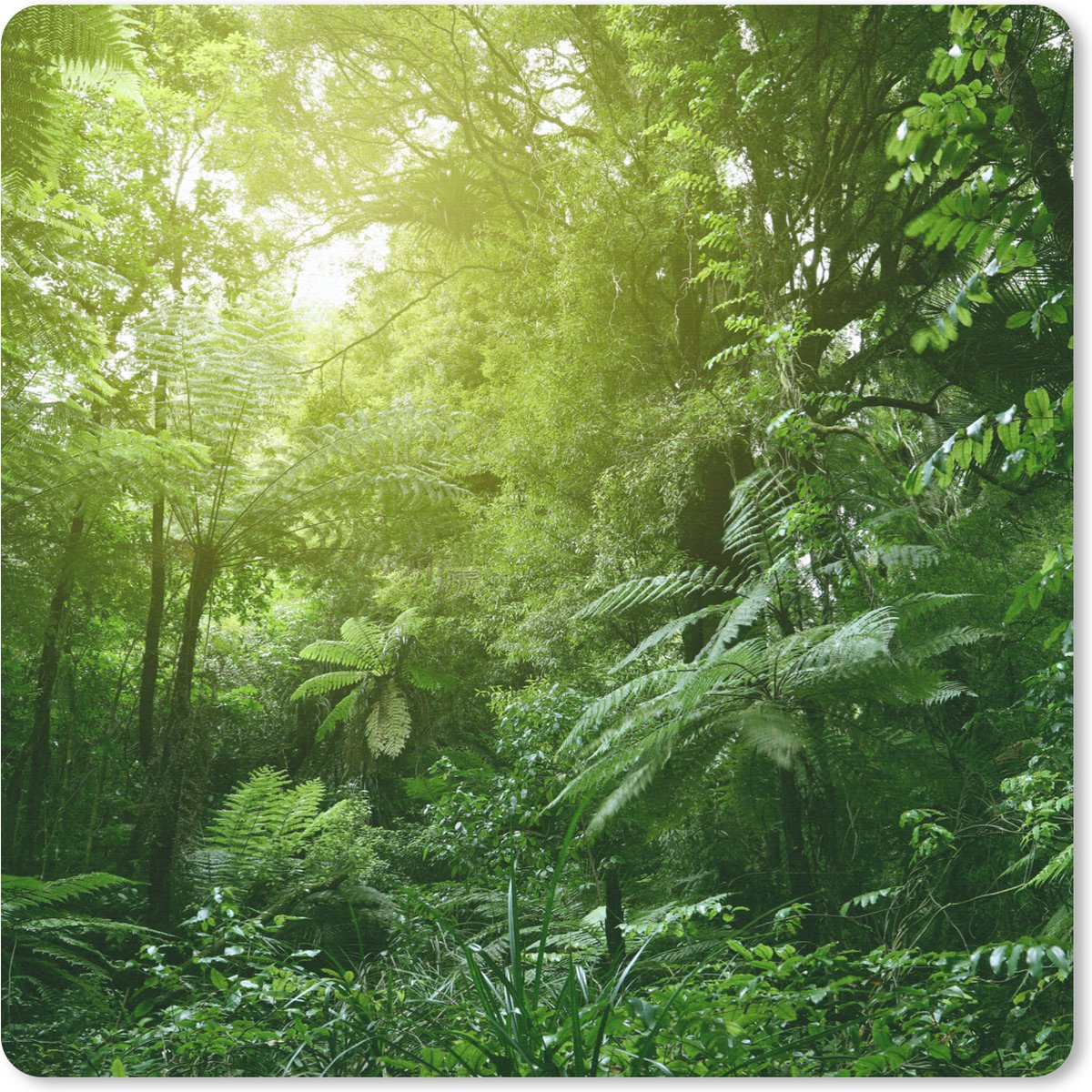 Muismat 20x20 cm - Mousepad Jungle - Planten - Bladeren - Jongens - Meisjes - Kinderen - Muismatten