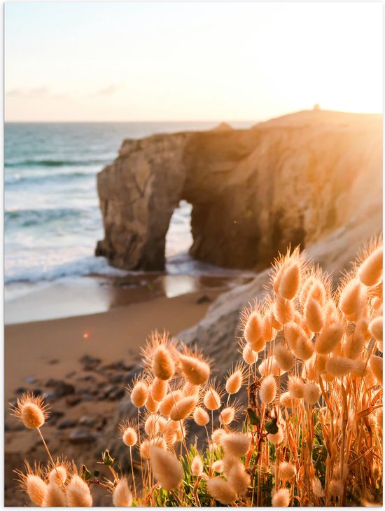 WallClassics - Poster Glanzend – Rots aan het Water net Hazenstaart Planten - 30x40 cm Foto op Posterpapier met Glanzende Afwerking