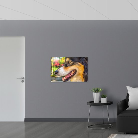 Hout - Australische Herder van Dichtbij - 90x60 cm - 12 mm dik - Foto op Hout (Met Ophangsysteem)