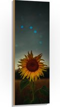 WallClassics - Hout - Close up van Zonnebloem met Blauwe Lichtjes - 40x120 cm - 12 mm dik - Foto op Hout (Met Ophangsysteem)