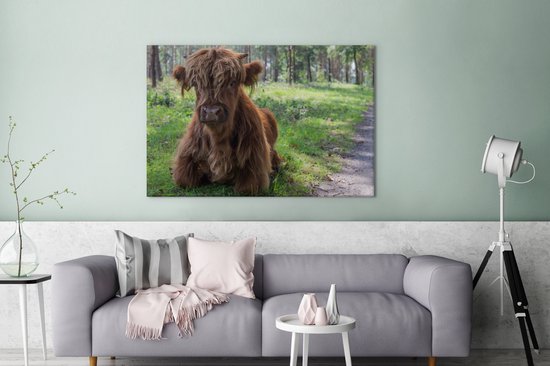 Tableau sur Toile Scottish Highlander - Crapaud - Animaux - 120x80 cm - Décoration murale