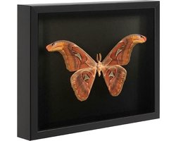 ACAZA Wissellijst - 3D Fotolijst - Diepe Fotolijst - 30x40 cm - Hout - Zwart - 3D Fotolijst voor Objecten - Box Frame