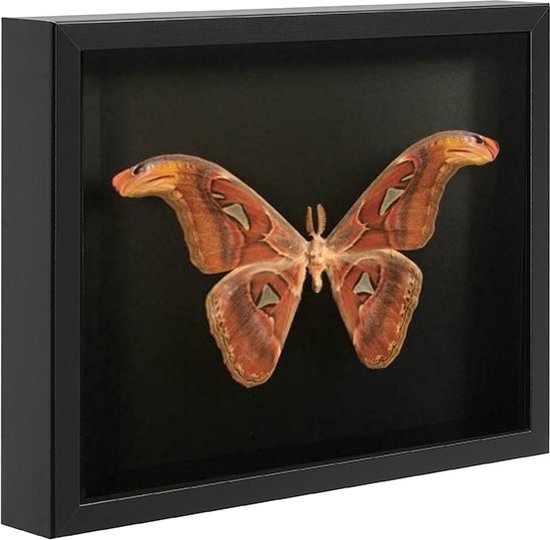 ACAZA Wissellijst - 3D Fotolijst - Diepe Fotolijst - 30x40 cm - MDF Hout - Zwart - 3D Fotolijst voor Objecten - Box Frame