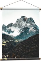 WallClassics - Textielposter - Bomen bij Rotsachtige Bergen - 60x80 cm Foto op Textiel
