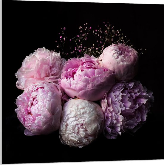 WallClassics - PVC Schuimplaat - Roze/Paarse Bloemen tegen Zwarte Achtergrond - 80x80 cm Foto op PVC Schuimplaat (Met Ophangsysteem)