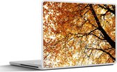 Laptop sticker - 14 inch - Boom - Herfstbladeren - Seizoenen - Landelijk - 32x5x23x5cm - Laptopstickers - Laptop skin - Cover