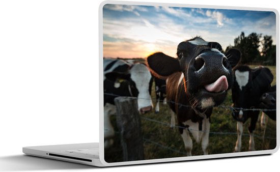 Autocollant pour ordinateur portable - 13,3 pouces - Vache - Animaux - Nature - Langue saillante - 31x22,5 cm - Autocollants pour ordinateur portable - Peau pour ordinateur portable - Couverture