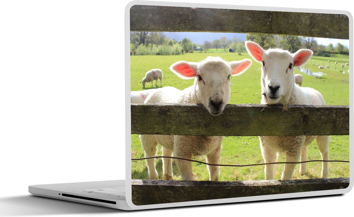 Laptop sticker - 11.6 inch - Schapen - Dieren - Boerderij - 30x21cm - Laptopstickers - Laptop skin - Cover