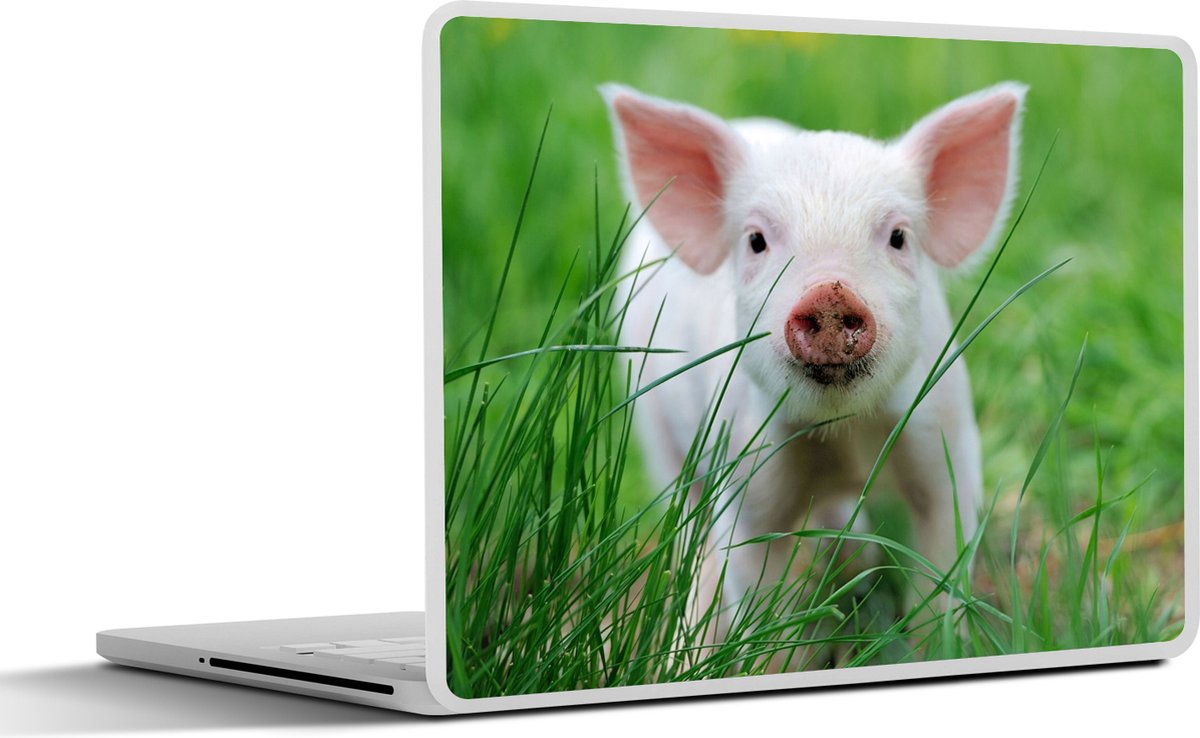 Laptop sticker - 15.6 inch - Varken - Dieren - Big - 36x27,5cm - Laptopstickers - Laptop skin - Cover