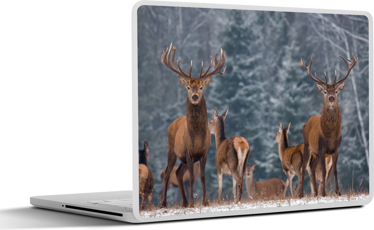 Laptop sticker - 17.3 inch - Hert - Winter - Sneeuw - Bosdieren - Bos - Natuur - 40x30cm - Laptopstickers - Laptop skin - Cover
