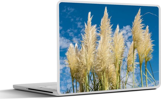 Laptop sticker - 12.3 inch - Pampasgras - Plant - Natuur - 30x22cm - Laptopstickers - Laptop skin - Cover - SleevesAndCases