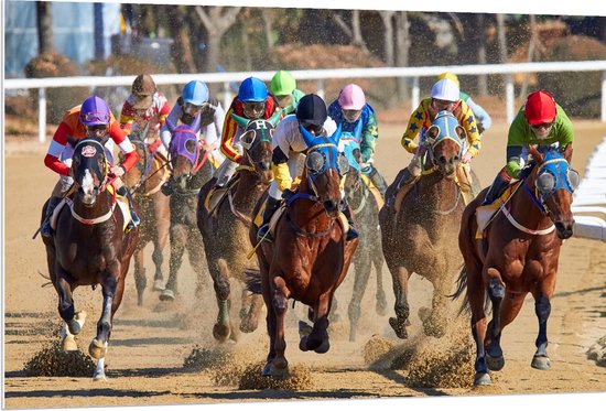 WallClassics - PVC Schuimplaat - Paarden Race - 120x80 cm Foto op PVC Schuimplaat (Met Ophangsysteem)