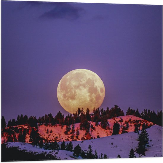 WallClassics - Vlag - Grote Volle Maan boven SneeuwBerg - 80x80 cm Foto op Polyester Vlag