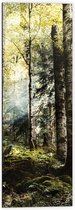 WallClassics - Dibond - Groene Bomen met Zon - 40x120 cm Foto op Aluminium (Wanddecoratie van metaal)