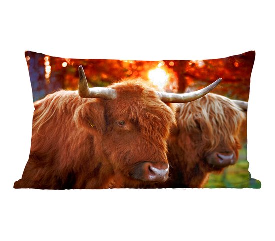 Coussins Coussins décoratifs - Coussin - Highlanders gros plan en automne - 60x40 cm - Coussin en coton