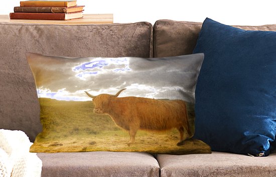 Sierkussen Highlander Cows pour l'intérieur - Highlander pendant le coucher du soleil - 60x40 cm - Coussin intérieur rectangulaire en coton