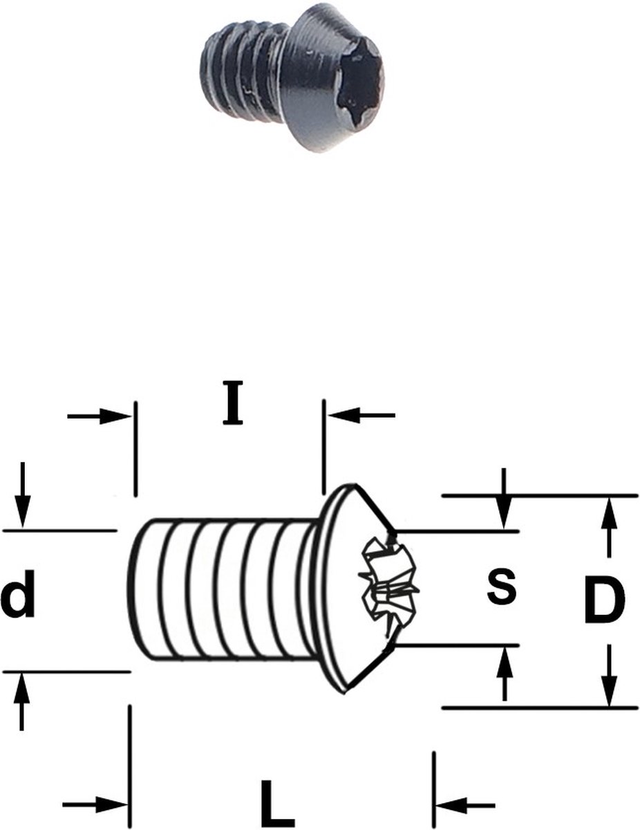 Torx boutje M4 x 4 x 6,2 mm. schuine kant