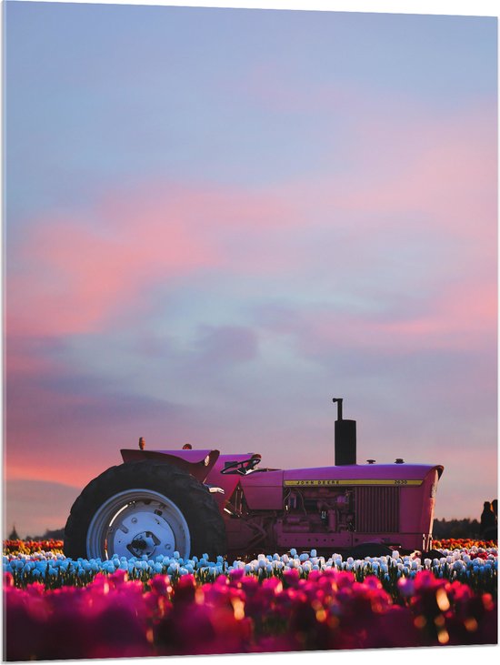 WallClassics - Acrylglas - Roze Traktor in Felkleurend Bloemenveld - 75x100 cm Foto op Acrylglas (Met Ophangsysteem)