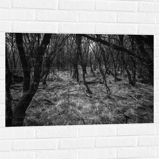 WallClassics - Muursticker - Takken in het Bos Zwart / Wit - 90x60 cm Foto op Muursticker