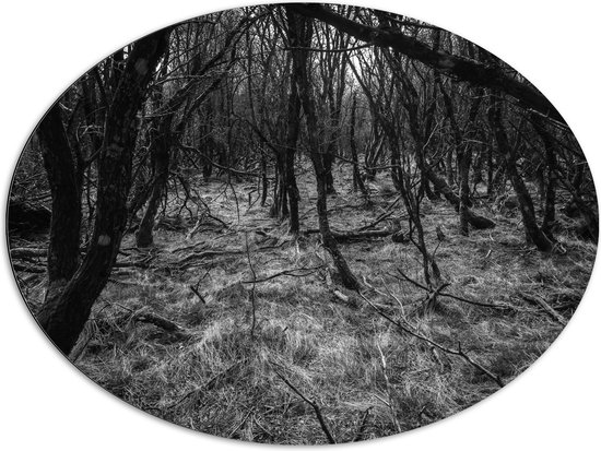 WallClassics - Dibond Ovaal - Takken in het Bos Zwart / Wit - 96x72 cm Foto op Ovaal (Met Ophangsysteem)