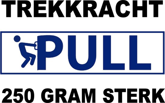 Ster magneetjes - silver - set 6 stuks