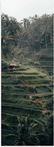 WallClassics - Poster (Mat) - Landbouwvelden in Bali - 20x60 cm Foto op Posterpapier met een Matte look
