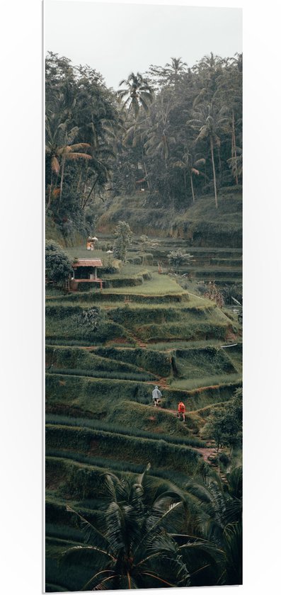 WallClassics - PVC Schuimplaat - Landbouwvelden in Bali - 40x120 cm Foto op PVC Schuimplaat (Met Ophangsysteem)