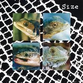 Size - Nadie Pueda Vivir Con Un Monstruo (LP) (Coloured Vinyl)