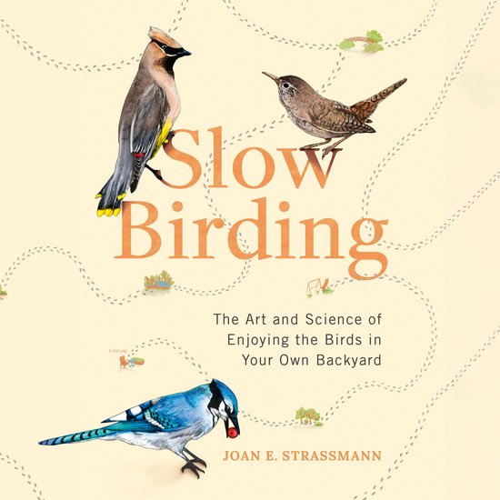 Slow Birding - cover