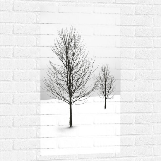 WallClassics - Muursticker - Twee Kale Bomen in Sneeuwlandschap - 50x100 cm Foto op Muursticker
