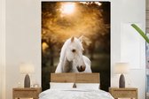 Behang kinderkamer - Fotobehang Paard - Zon - Herfst - Dieren - Natuur - Breedte 195 cm x hoogte 300 cm - Kinderbehang
