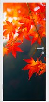 Deursticker Herfstbladeren in Japan - 90x235 cm - Deurposter