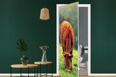 Deursticker Koe - Bruin - Boom - Natuur - 90x215 cm - Deurposter