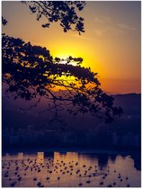 WallClassics - Poster (Mat) - Zon achter Takken - 60x80 cm Foto op Posterpapier met een Matte look