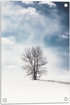 WallClassics - Tuinposter – Kale Eenzame Boom in Sneeuwlandschap - 40x60 cm Foto op Tuinposter  (wanddecoratie voor buiten en binnen)